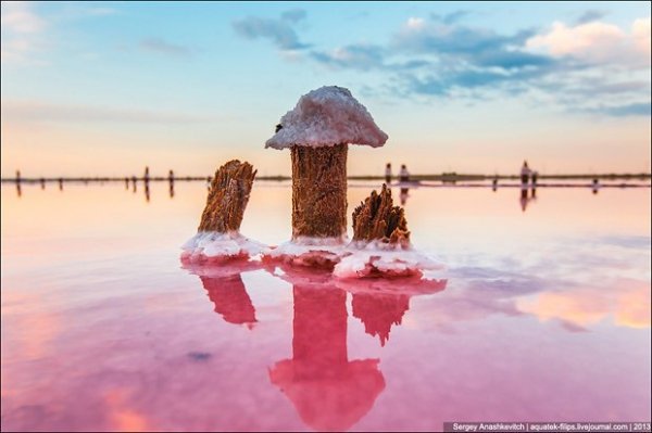 Соляні квіти та багряні ріки Криму. ФОТО