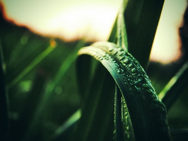 Фотовиставка Тараса Маркіна