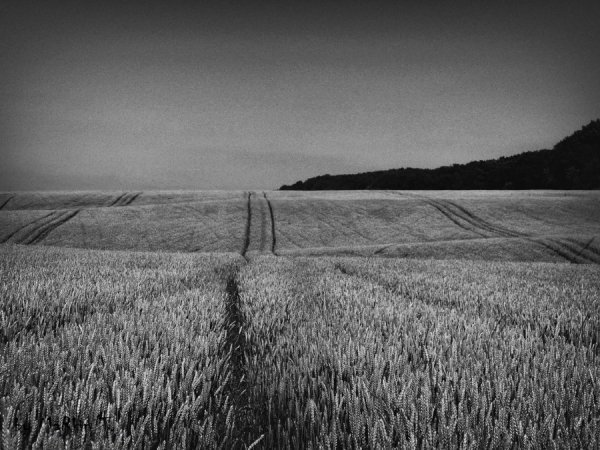 Фотовиставка Тараса Маркіна