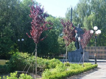У місті на Волині біля Меморіалу Слави висадили 4 сотні багаторічних квітів, кущів та дерев. ФОТО