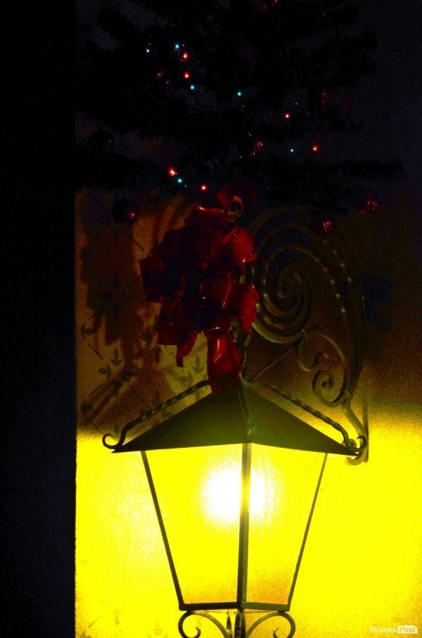 Луцьк не готовий до Нового року. ФОТО 