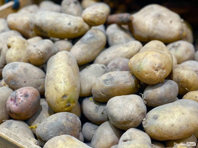 Борщовий набір дорожчає: скільки коштують сезонні овочі на луцькому ринку