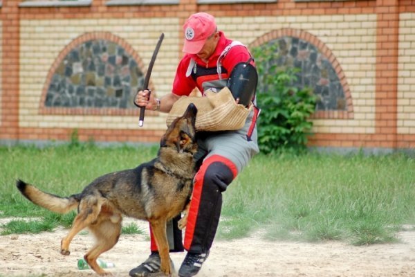 Фотовиставка Павла Березюка