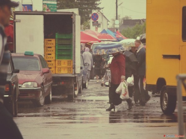 Луцькі парасолі. ФОТО