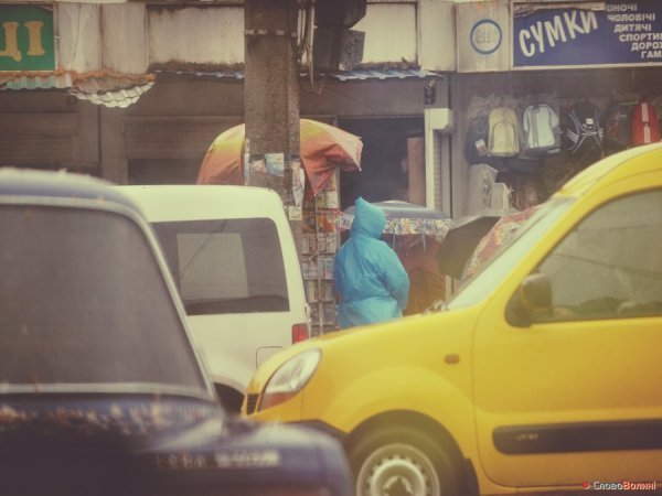 Луцькі парасолі. ФОТО