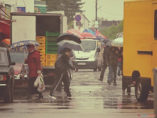 Луцькі парасолі. ФОТО