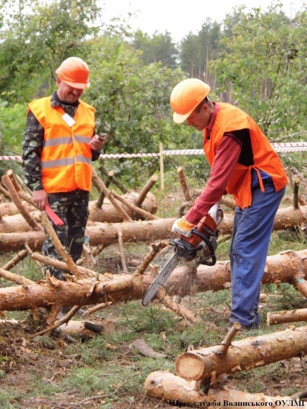 Змагання лісорубів на Волині. ФОТО