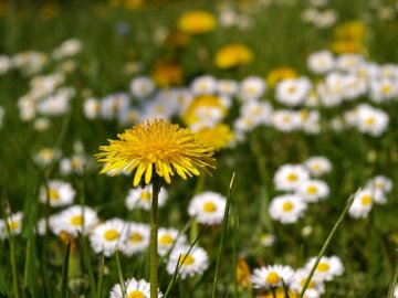 Погода в Луцьку та Волинській області на п’ятницю, 1 травня