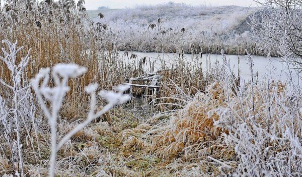 Волинь в льодяному тумані. ФОТО