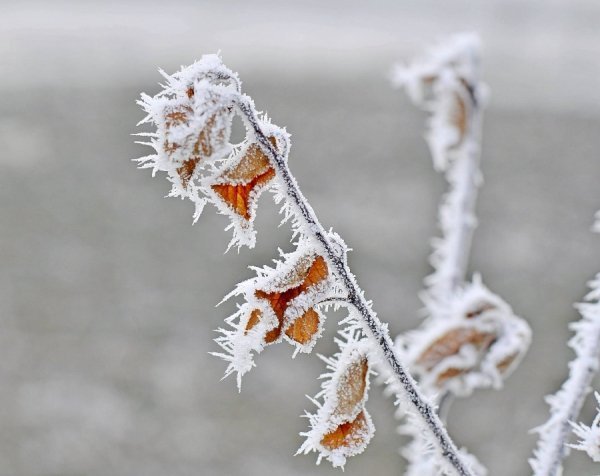 Волинь в льодяному тумані. ФОТО