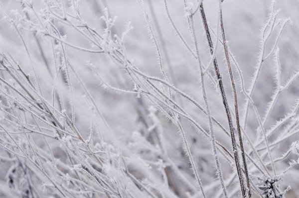 Волинь в льодяному тумані. ФОТО