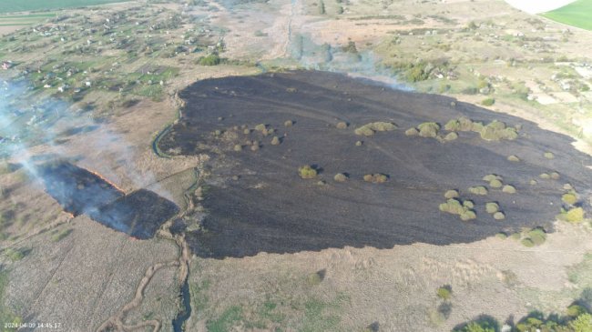 У Луцькому районі на дачному масиві горіла трава: місцева жителька підпалила сміття і залишила багаття