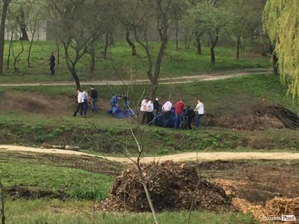 Близько тисячі людей вийшло прибирати парк 900-річчя Луцька. ФОТО. ВІДЕО