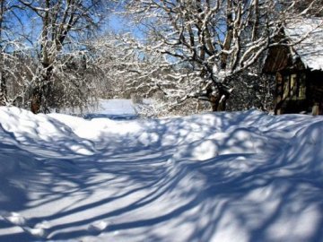 Погода в Луцьку та Волинській області на п’ятницю, 10 лютого
