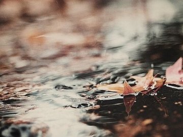 Якою буде погода на Волині у понеділок, 19 жовтня 