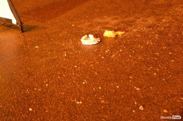 У Луцьку – смерть в аварії на дорозі. ФОТО