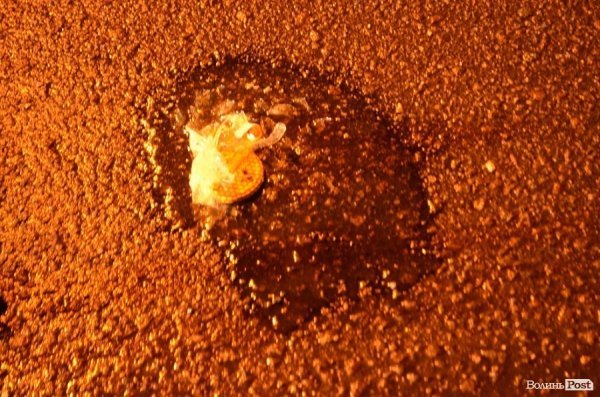 У Луцьку – смерть в аварії на дорозі. ФОТО