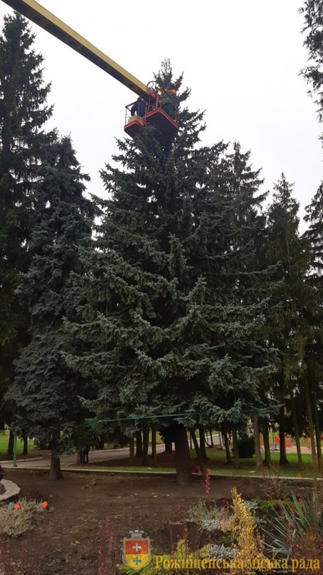 У Рожищі прикрашають головну ялинку міста. ФОТО