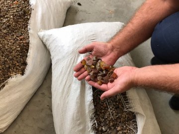 Затримали рекордну партію бурштину, яку мали везти через «Ягодин»