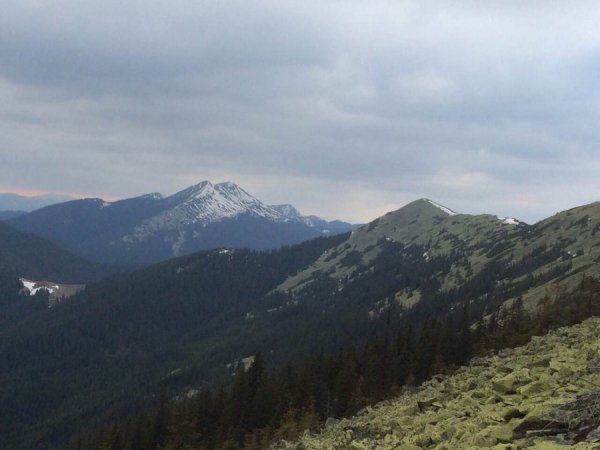 Перший заступник мера з секретарем Луцької міськради подалися в гори. ФОТО