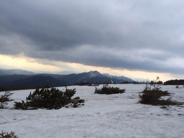 Перший заступник мера з секретарем Луцької міськради подалися в гори. ФОТО