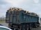 Незаконна деревина та «липове» посвідчення: у Луцьку затримали водія вантажівки