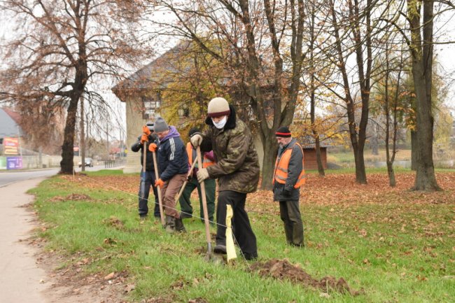 Глід, акація, метасеквоя: біля Теремнівських ставків висадили саджанці дерев