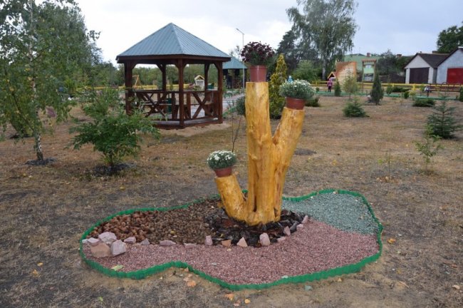 На Волині лісівники спільно з громадою облаштували дендропарк. ФОТО