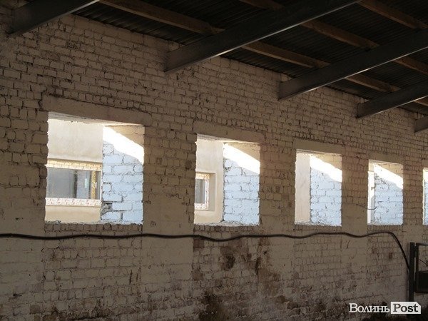 Де на Волині виробляють молоко для європейців. ФОТО