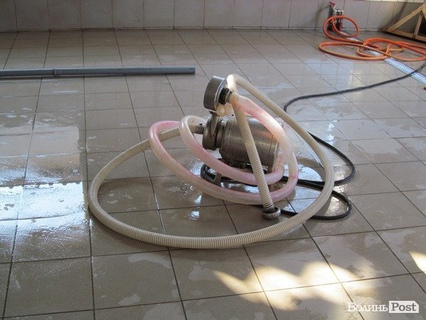 Де на Волині виробляють молоко для європейців. ФОТО