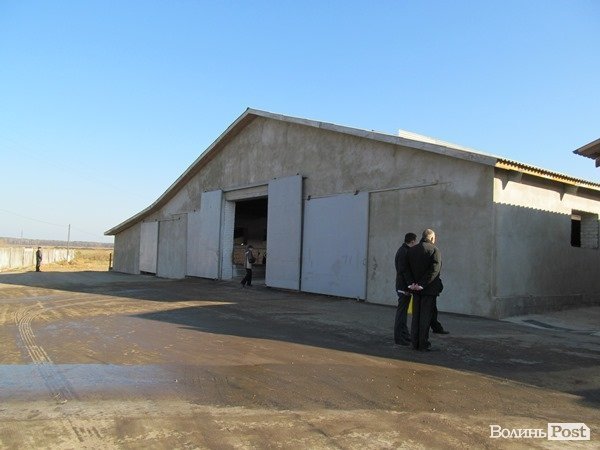 Де на Волині виробляють молоко для європейців. ФОТО