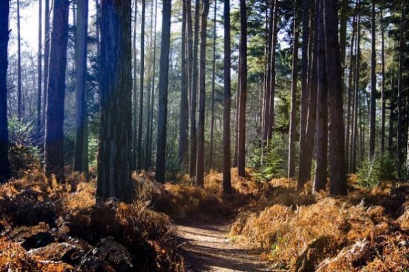 У подорож слідом за Гаррі Поттером: локації фільмів, цікаві місця, які можуть відвідати туристи. ФОТО