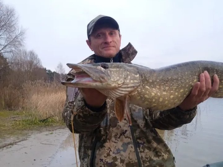 Порадував трофейчик: рибалка з Луцька упіймав гігантську щуку