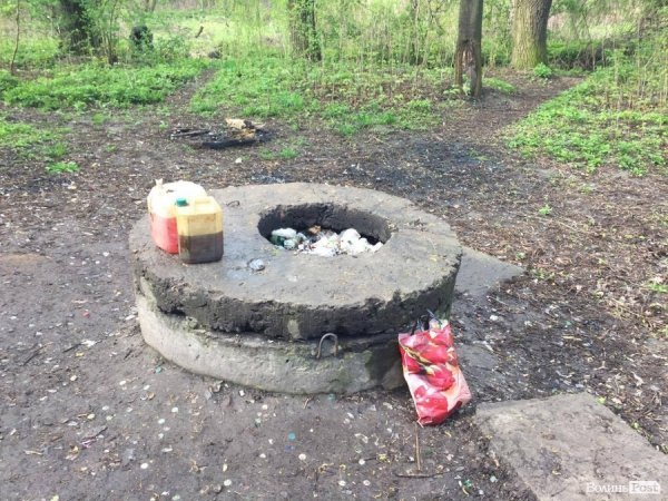 Депутати Луцькради вийшли на генеральне прибирання. ФОТО. ВІДЕО