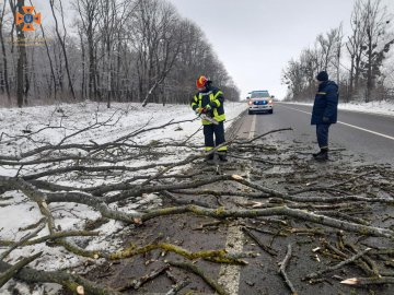 На дорогу Устилуг-Луцьк-Рівне впало дерево: викликали рятувальників