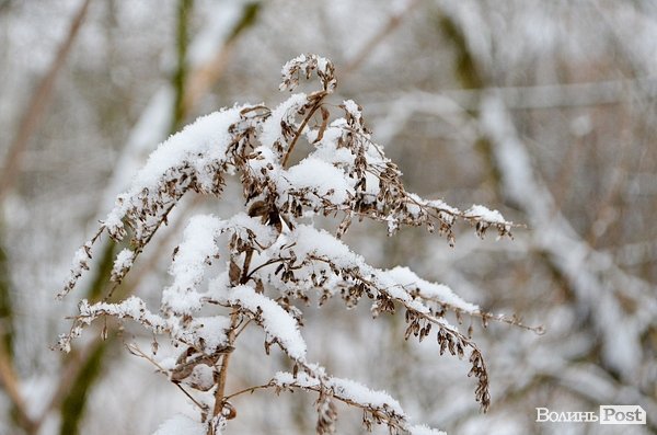 Луцьк засипало снігом. ФОТО