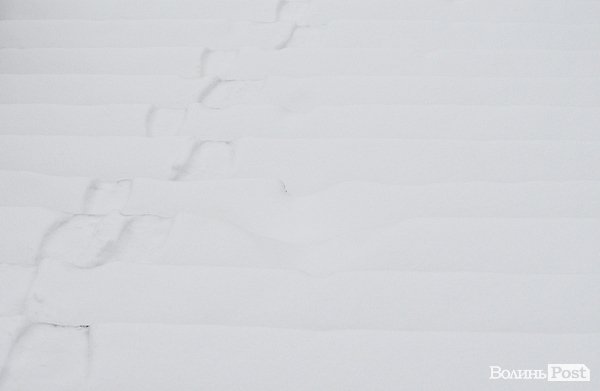 Луцьк засипало снігом. ФОТО