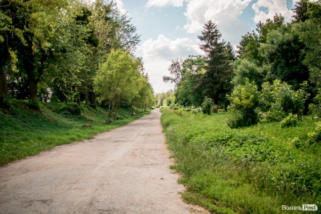 Літо у луцькому парку. ФОТО