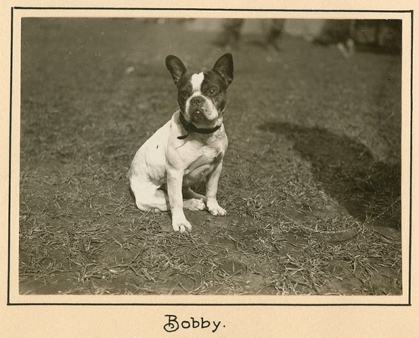 Україна 1918 року «очима» німців. ФОТО