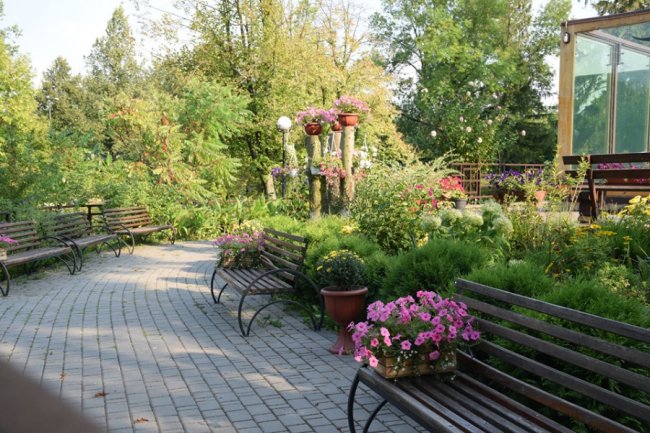 Повідомили, які заходи запланували у луцькому зоопарку на День Незалежності. ФОТО