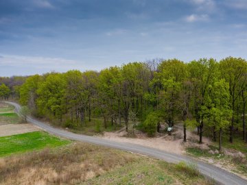 Волинський ліс – що залишимо нащадкам?