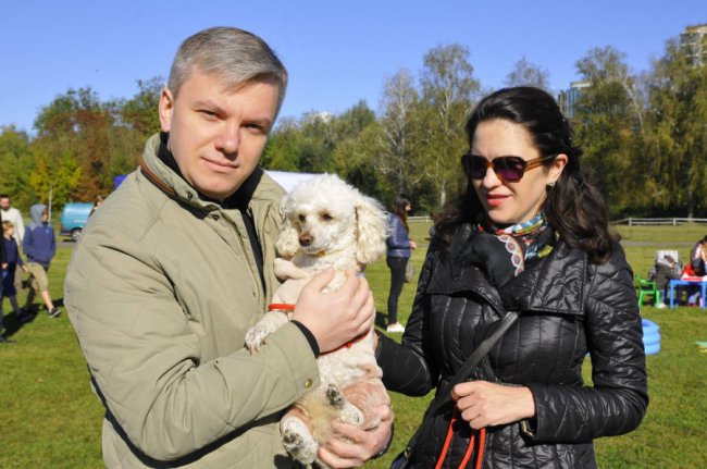 Луцький фотограф поділився світлинами з виставки собак