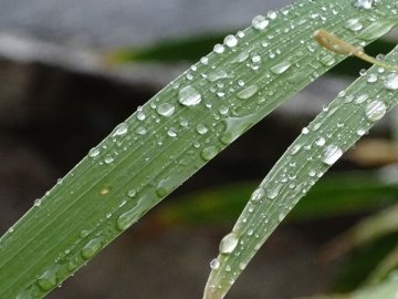 Погода в Луцьку та Волинській області на п'ятницю, 28 серпня