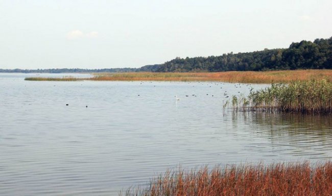 Осіння магія: світанки та вечори на Шацьких озерах досі вражають красою. ФОТО