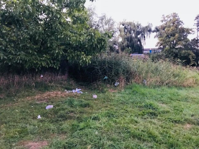 У Луцьку загидили берег Стиру. ФОТО