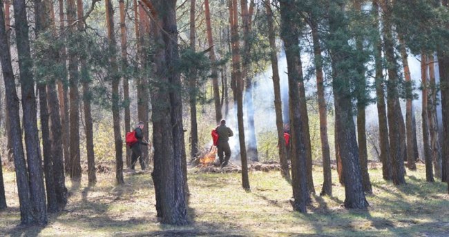 Як працювали разом волинські лісівники і рятувальники на протипожежних навчаннях. ФОТО, ВІДЕО
