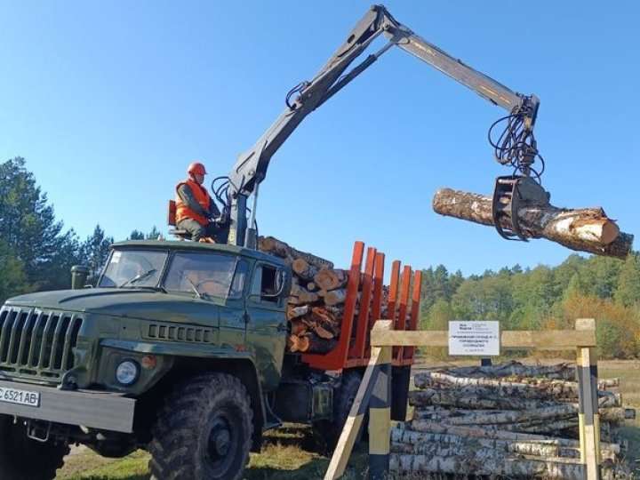 Скільки у лісництвах на Волині коштують дрова. ВІДЕО, ФОТО