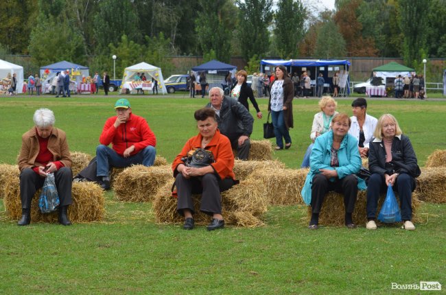 Урожай, частування та співи: у Луцьку святкують «Обжинки»