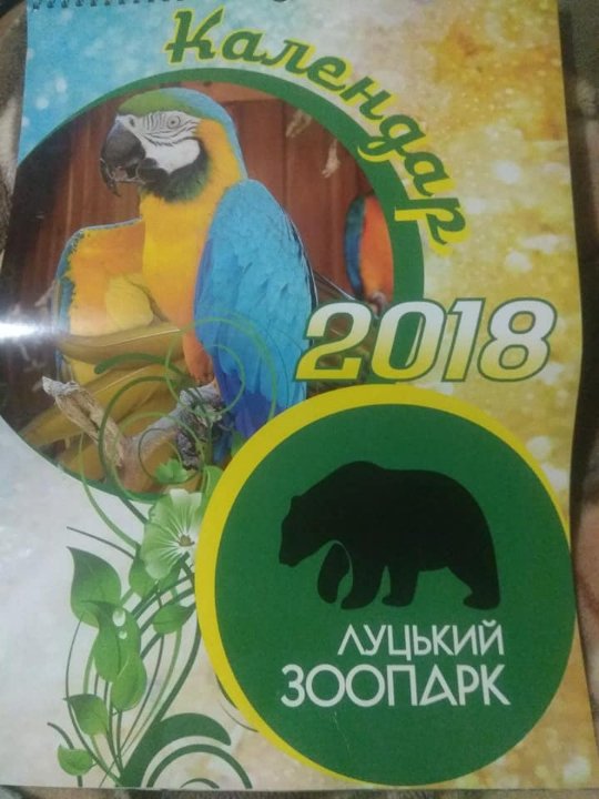 Урятованого молодого лебедя прилаштували в Луцький зоопарк. ФОТО