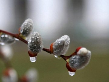 Якою буде погода на Волині завтра, 21 лютого 